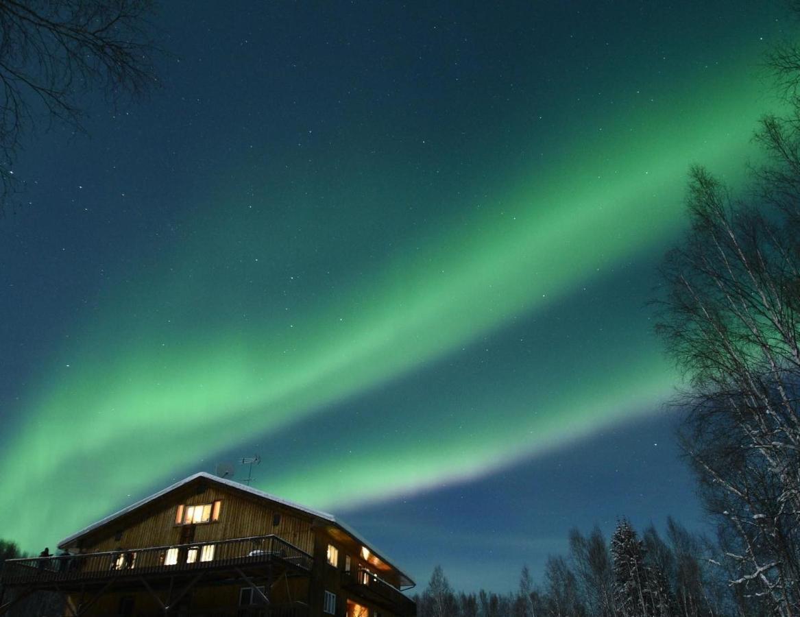 Alaska Grizzly Lodge Fairbanks Extérieur photo