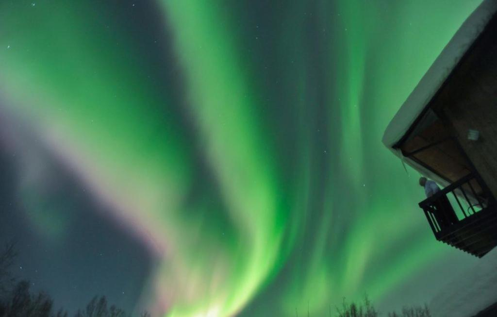 Alaska Grizzly Lodge Fairbanks Extérieur photo