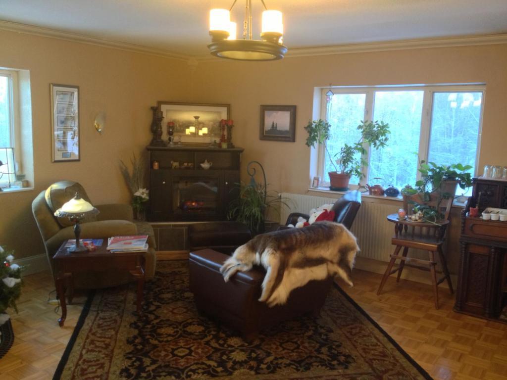 Alaska Grizzly Lodge Fairbanks Extérieur photo